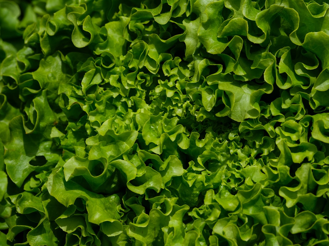 Impact of Healthy Eating